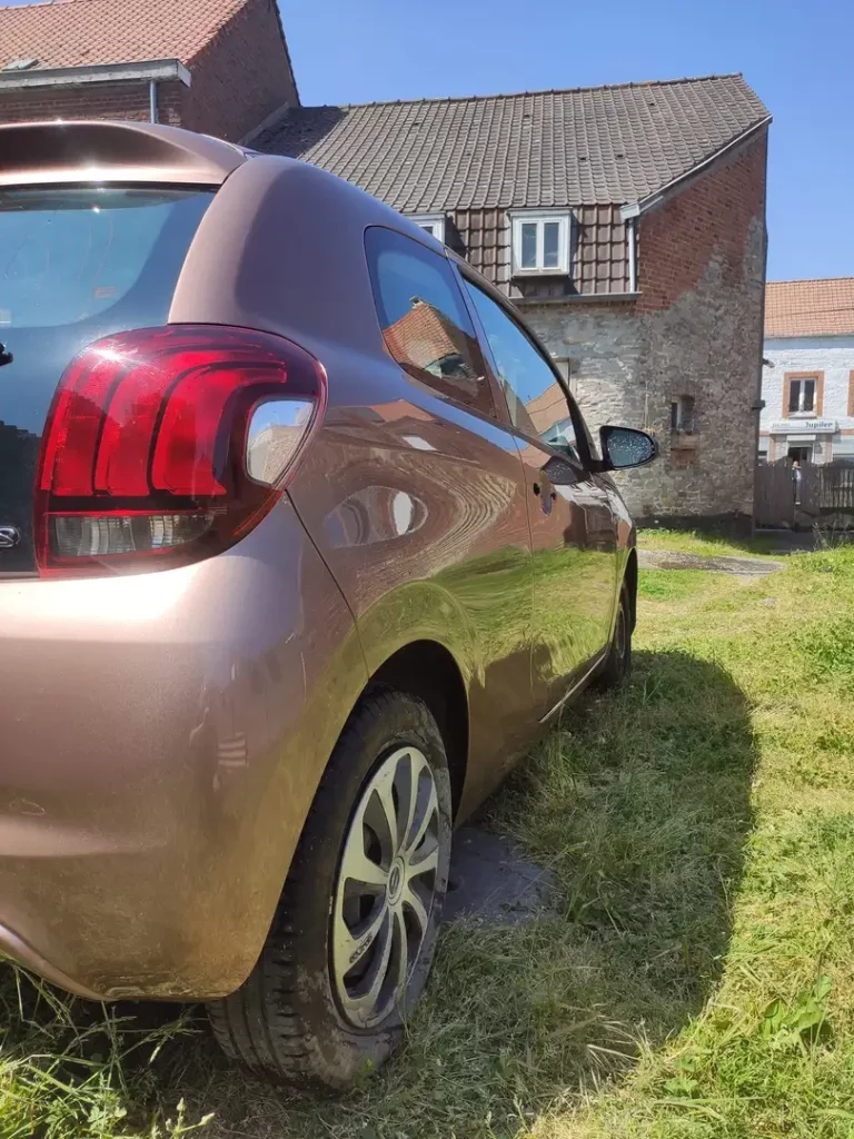 111OK474950469_585123001107729_1439368459183375032_n_compress